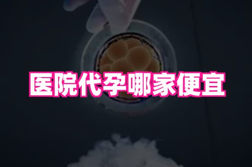 69助孕网 2